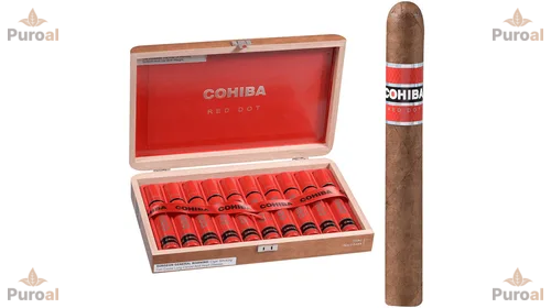 Cohiba Puro Günlük içim için mantıklı mı ?