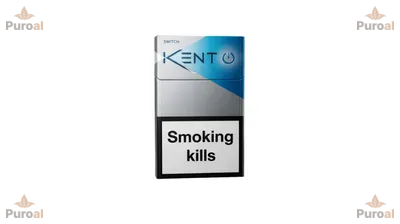 Kent Switch Mentollü Sigara Dubai