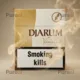 Djarum Vanilla sigara – Vanilya ve Karanfil aromalı görsel 2