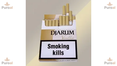 Djarum Vanilla sigara – Vanilya ve Karanfil aromalı