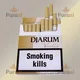 Djarum Vanilla sigara – Vanilya ve Karanfil aromalı görsel 1