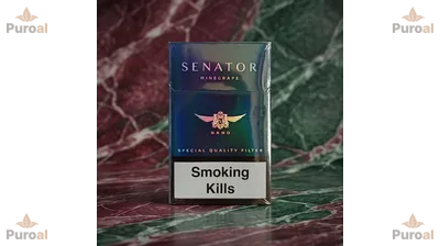 Senator Nano Wine Grape sigara – Şarap Üzümü aromalı