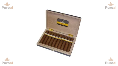 Cohiba Maduro 5 Secretos 10’s Puro