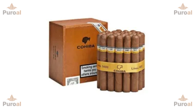 Cohiba Robustos 25's Puro