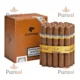 Cohiba Robustos 25's Puro görsel 1