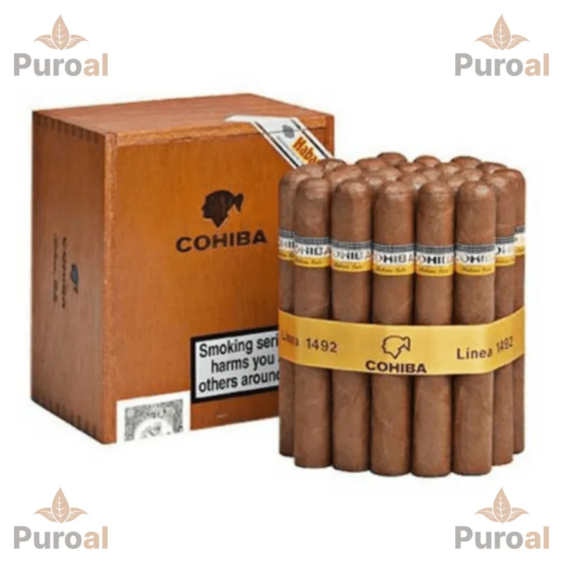 Cohiba Robustos 25's Puro