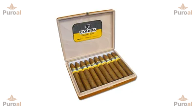 Cohiba Piramides Extra10’s Puro