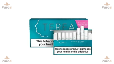 IQOS Terea Turkuaz Kartuş tütün