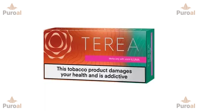 IQOS Terea Summer